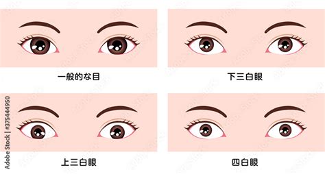 桃花眼 三白眼|桃花眼の特徴・診断方法・なり方やメイク方法